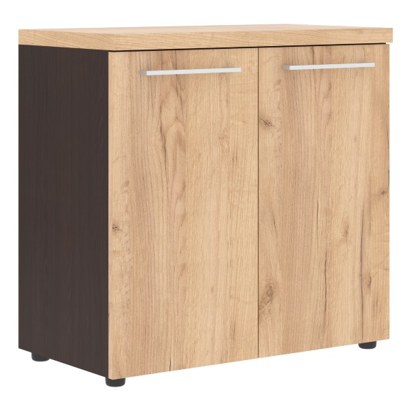 Шкаф с глухими малыми дверьми и топом ALC 85.1 850х456х834 ALTO